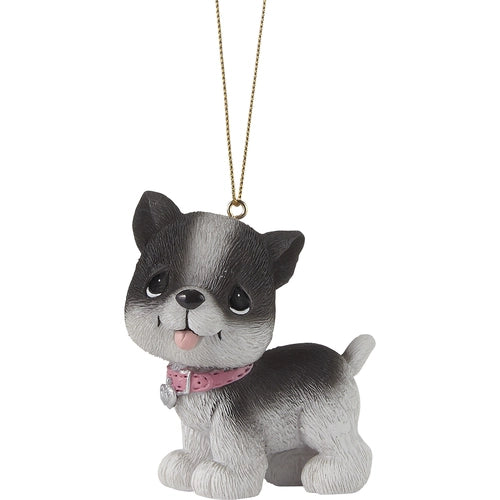 Raise The Woof