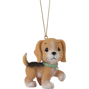 I Ruff You